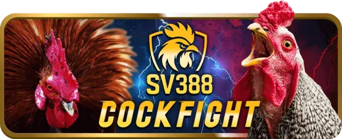 Hình ảnh minh họa các quy tắc chơi game và cá cược công bằng tại nhatvip link vào